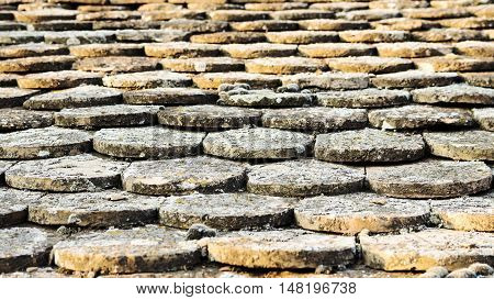 Old rustic roof tiles on the barn