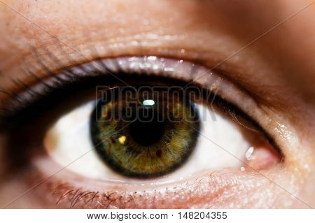 makro photo of female dark green eyes