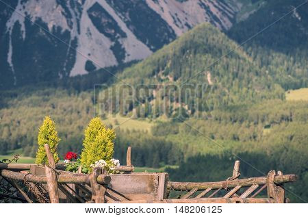 cart with flowers on a background of mountains