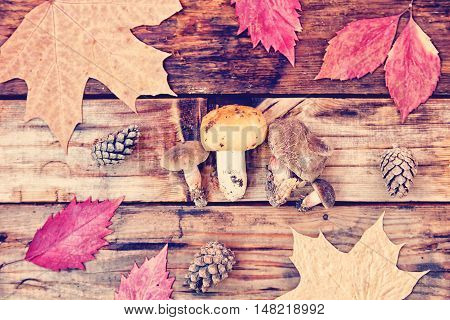Concept Of  Autumn Forest, Yellow Leaves, Mushrooms And Cones On The Wooden Background. Beautiful An