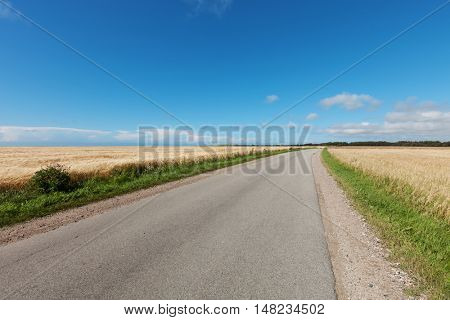 empty road in the countryside