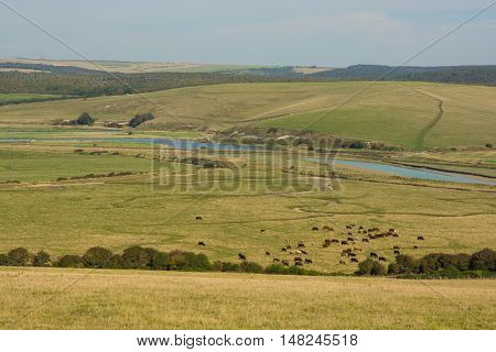 The River Cuckmere estuary with meanders at Cuckmere Haven in East Sussex England