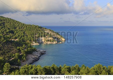 Apula coast,Gargano National Park: Pungno Chiuso beach. Vieste,Italy.The bay is bounded by marvellous hills covered with age-old pine trees.