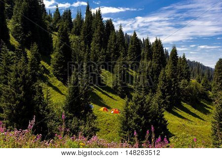 Landscape with  tents in the mountains. Sunny summer day. Cloudy sky