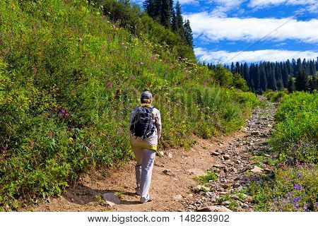 Tourist with a backpack going up the hill. Sunny summer day. Cloudy sky