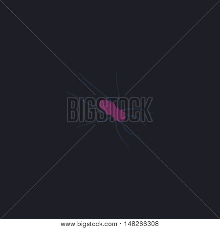 Spider Color vector icon on dark background