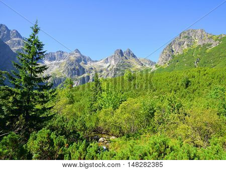 Dolina Zeleneho plesa valley in High Tatra Mountains, Slovakia.