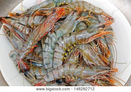 Big Pile of Fresh Tiger Shrimp Seafood