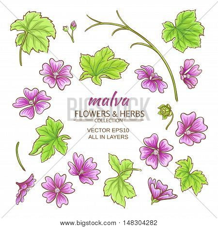 malva elements vector set on white background