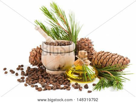 Cedar cones oil pine nuts in a mortar cedar twigs isolated on white background.