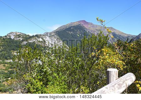 Peak Of A Mountain Full Of Trees In Canfranc, Spain