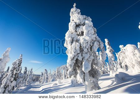 Beautiful Cold Mountain View Of Ski Resort, Sunny Winter Day With Slope, Piste And Ski Lift