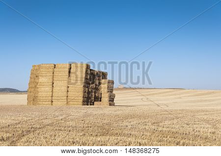 Bale of hay in an agrarian landscape in Ciudad Real Province Spain