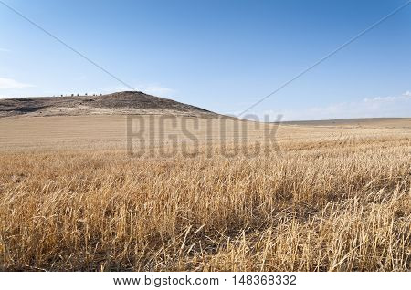 Harvested barley field in an agrarian landscape in Ciudad Real Province Spain