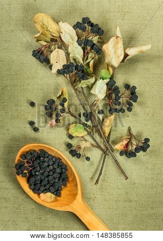 Chokeberry aronia . Dried herbs for use in alternative medicine spa herbal cosmetics herbal medicine preparing infusions decoctions tinctures powders ointments butter tea bath.
