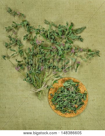 Mint spearmint peppermint. Dried herbs for use in alternative medicine spa herbal cosmetics herbal medicine preparing infusions decoctions tinctures powders ointments butter tea bath.