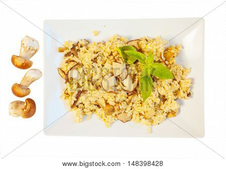 Hot Risotto With Mushrooms On White Plate On White Background
