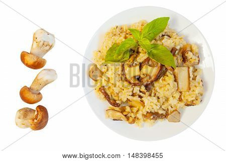 Hot Risotto With Mushrooms On White Plate On White Background