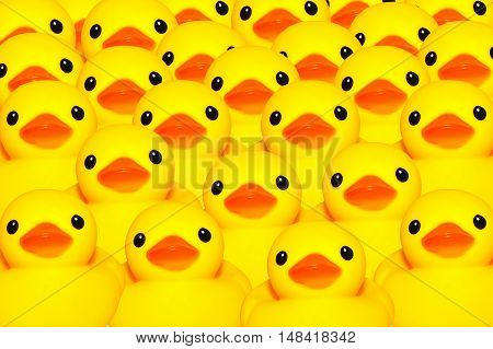 Yellow duck on white colored background for kids