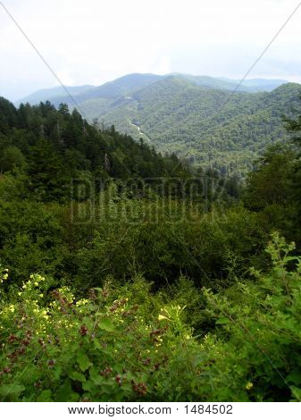 Great Smoky Mountains Scenic Route