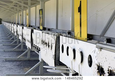 Biathlon . Target sports shooting . Biathlon .