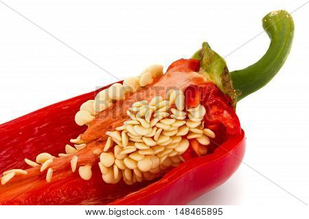 Red hot chili peppe closeupr isolated on white background