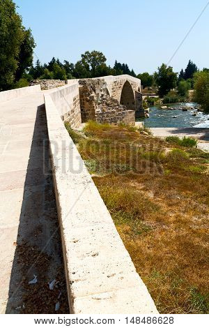 Near The River And Nature