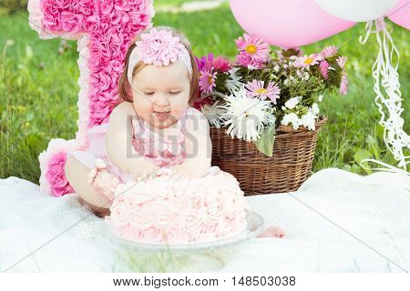 Portrait of a cute adorable Caucasian baby girl in pink dress celebrating her first birthday