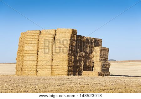 Bale of hay in an agrarian landscape in Ciudad Real Province Spain