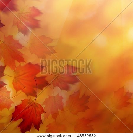 Abstract Autumn Background with Red Fall Leaves