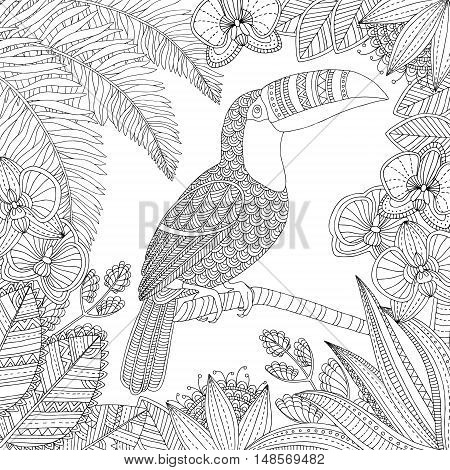 Vector hand drawn toucan bird tropical illustration for adult coloring book. Freehand sketch for adult anti stress coloring book page with doodle and zentangle elements.