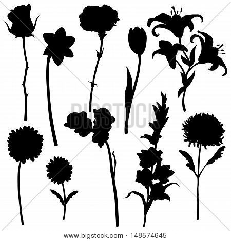 Vector Set Of Flowers Silhouettes