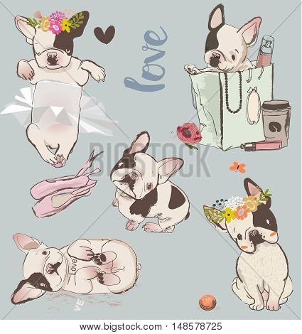 set with little cute bulldogs. vector illustration