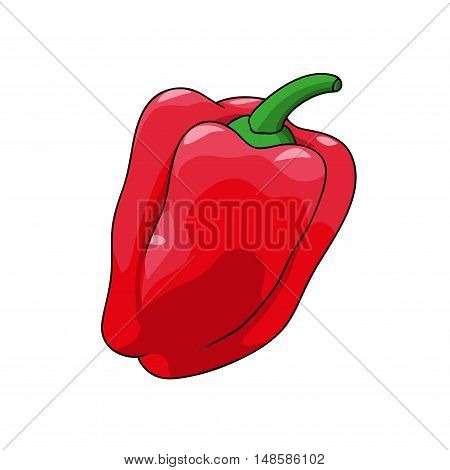Bright red sweet pepper isolated on white background. Vector illustration.