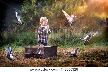 Little Pigeon Fancier. Boy Playing With Flying Pigeons.