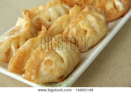 Gyoza ravioli tradizionale cucina giapponese su placca bianca