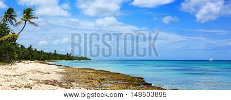 Beautiful caribbean sea and green palmen.Sommer ocean landscape as background.