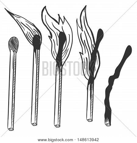 Vector Sketch Set Of Burning Matches. Different Stages Of Combustion
