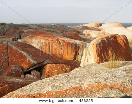 Bicheno, Tasmanie