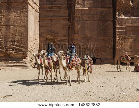 PETRA JORDAN - OCTOBER 29 2014: Unidentified local Bedouin guided on camels near Royal tombs.