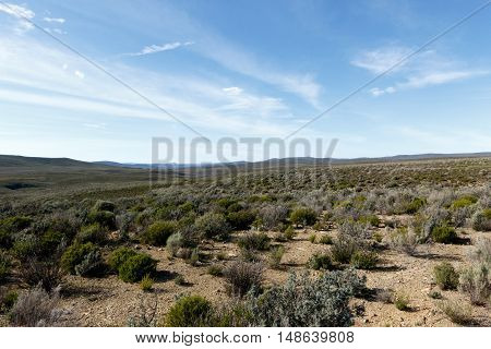 Green And Blue Landscape Of Tankwa Karoo