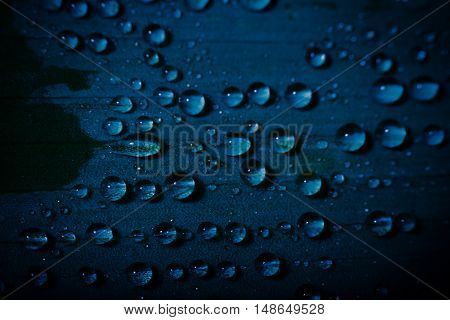 water drop on fresh blue leaf with blurred background
