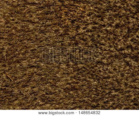 Scan of the internal texture of the leather shred