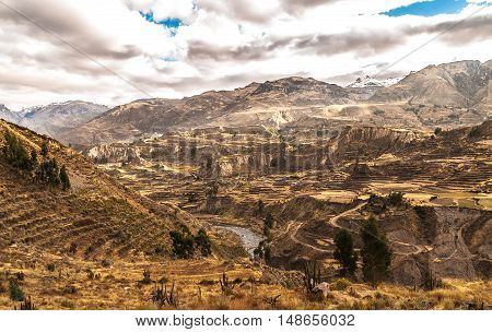 Colca Canyon view from hiking path in Chivay, near Arequipa, Peru