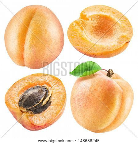 Ripe apricot fruits and apricot slice. File contains four clipping paths.