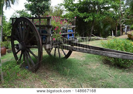 vehicle oxcart carrying flowers for decorating in landscaping park