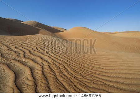 Sandtunes in Liwa desert in Aby Dhabi UAE at sunrise