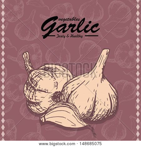 Fresh vegetables sketch background. Vintage hand drawing illustration of a garlic. Vector illustration for your design