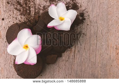 Closeup Plumeria sweet color and coffee ground on old wood background skin care beauty and spa relax concept