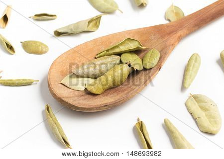 Brazilian Boldo Leaves into a spoon isolated in white background